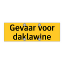 Gevaar voor daklawine