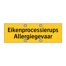 Eikenprocessierups Allergiegevaar