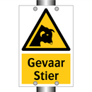 Gevaar Stier