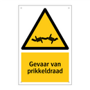 Gevaar van prikkeldraad