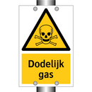 Dodelijk gas