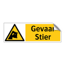 Gevaar Stier