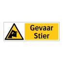 Gevaar Stier