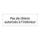 Pas de chiens autorisés à l'intérieur