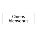 Chiens bienvenus