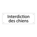 Interdiction des chiens