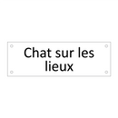 Chat sur les lieux