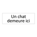 Un chat demeure ici