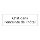Chat dans l'enceinte de l'hôtel
