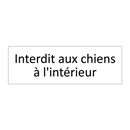 Interdit aux chiens à l'intérieur