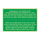 Toegangspunt voor ladder Als de /.../ - Ladder-accessible point If /.../