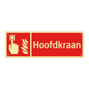 Hoofdkraan