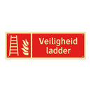 Veiligheid ladder