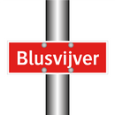 Blusvijver