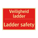 Veiligheid ladder - Ladder safety