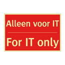 Alleen voor IT - For IT only