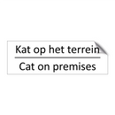 Kat op het terrein - Cat on premises & Kat op het terrein - Cat on premises