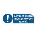 Gevallen bomen moeten worden gemeld & Gevallen bomen moeten worden gemeld
