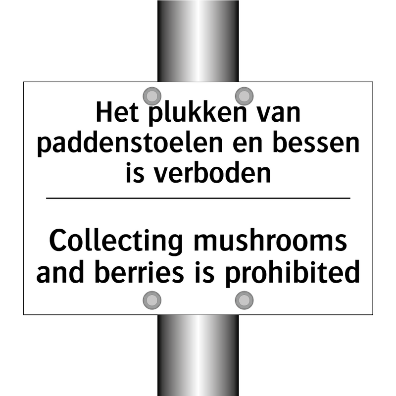 Het plukken van paddenstoelen /.../ - Collecting mushrooms and berries /.../