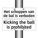 Het schoppen van de bal is verboden/.../ - Kicking the ball is prohibited