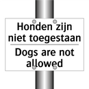 Honden zijn niet toegestaan - Dogs are not allowed