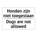 Honden zijn niet toegestaan - Dogs are not allowed