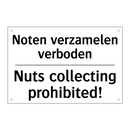 Noten verzamelen verboden - Nuts collecting prohibited!