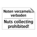 Noten verzamelen verboden - Nuts collecting prohibited!