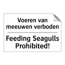 Voeren van meeuwen verboden - Feeding Seagulls Prohibited!