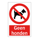 Geen honden