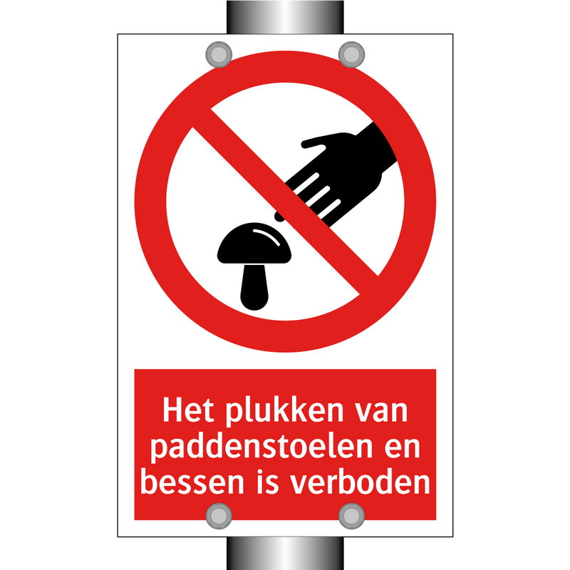Het plukken van paddenstoelen en bessen is verboden