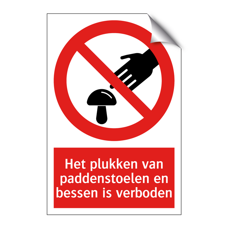 Het plukken van paddenstoelen en bessen is verboden