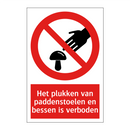 Het plukken van paddenstoelen en bessen is verboden