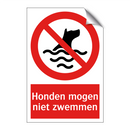 Honden mogen niet zwemmen