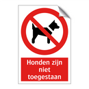 Honden zijn niet toegestaan