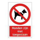 Honden zijn niet toegestaan