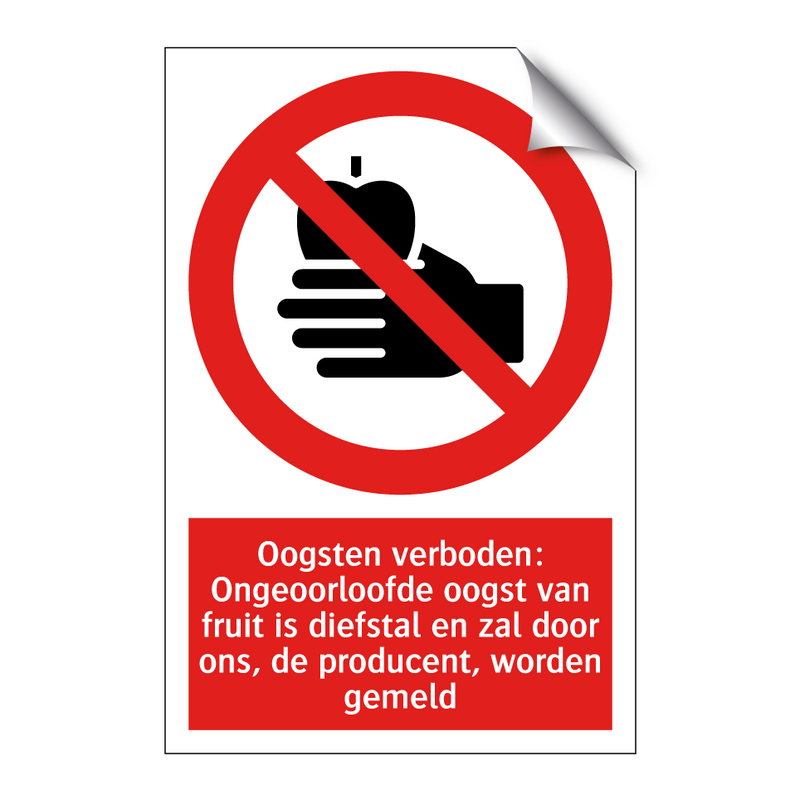Oogsten verboden: Ongeoorloofde oogst van fruit is diefstal en zal door ons, de producent, worden gemeld