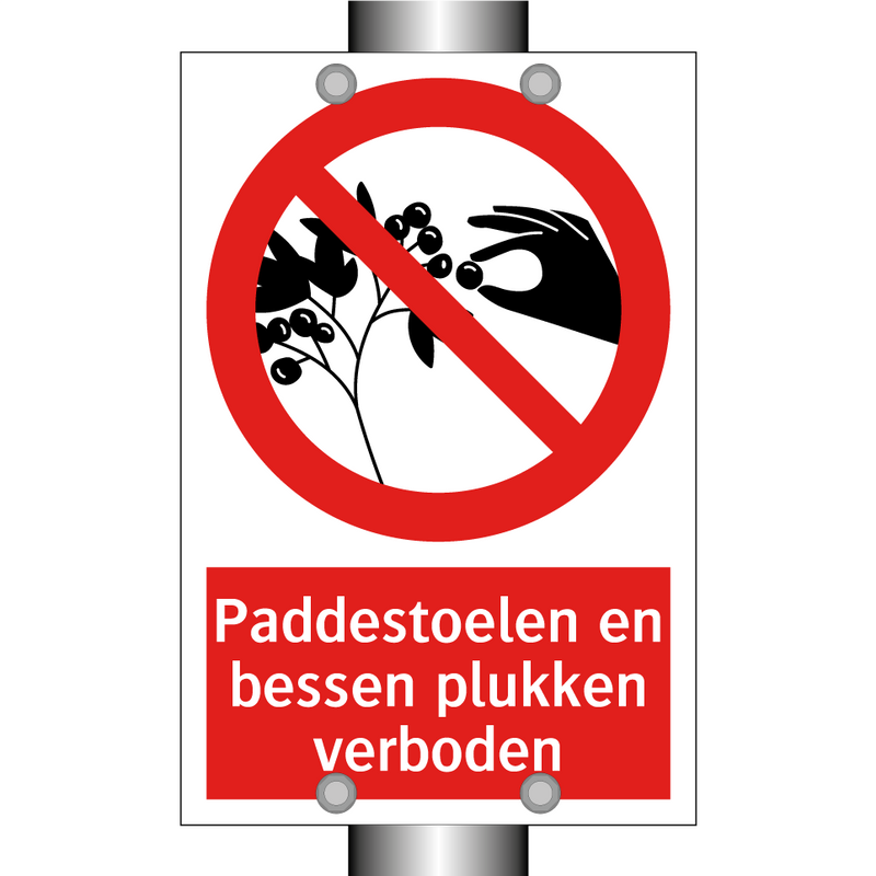 Paddestoelen en bessen plukken verboden