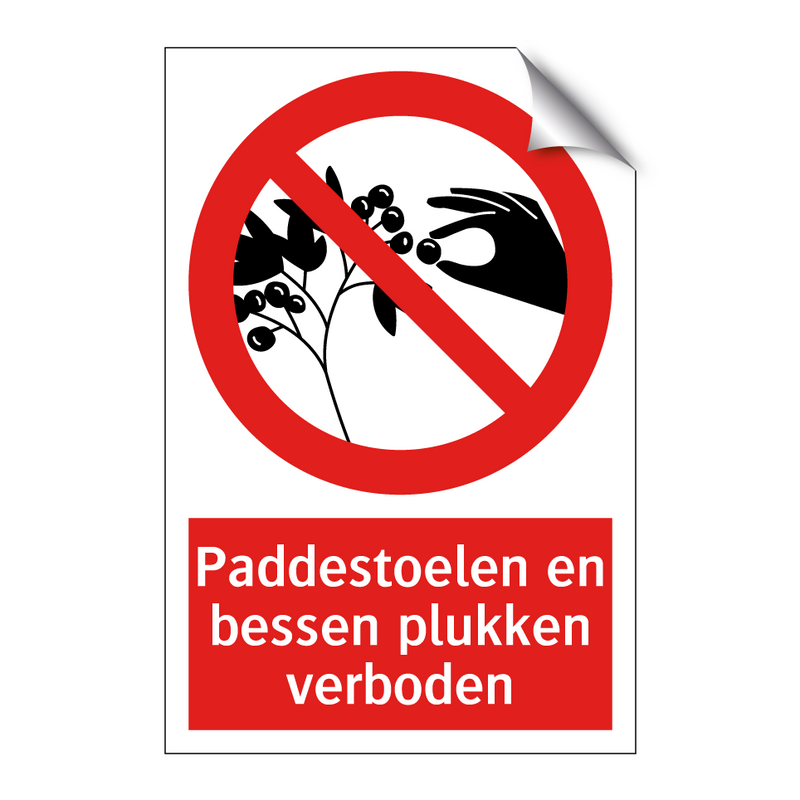 Paddestoelen en bessen plukken verboden