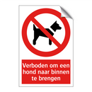 Verboden om een hond naar binnen te brengen