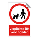 Verplichte lijn voor honden