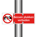 Bessen plukken verboden