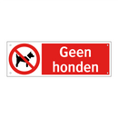 Geen honden