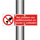 Het plukken van paddenstoelen en bessen is verboden