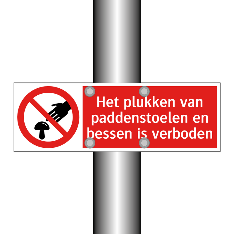 Het plukken van paddenstoelen en bessen is verboden