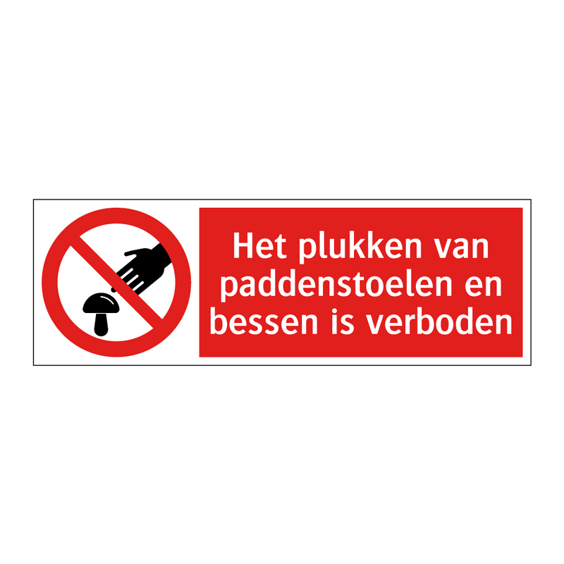 Het plukken van paddenstoelen en bessen is verboden
