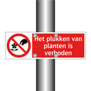 Het plukken van planten is verboden
