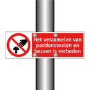 Het verzamelen van paddenstoelen en bessen is verboden