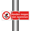 Honden mogen niet zwemmen