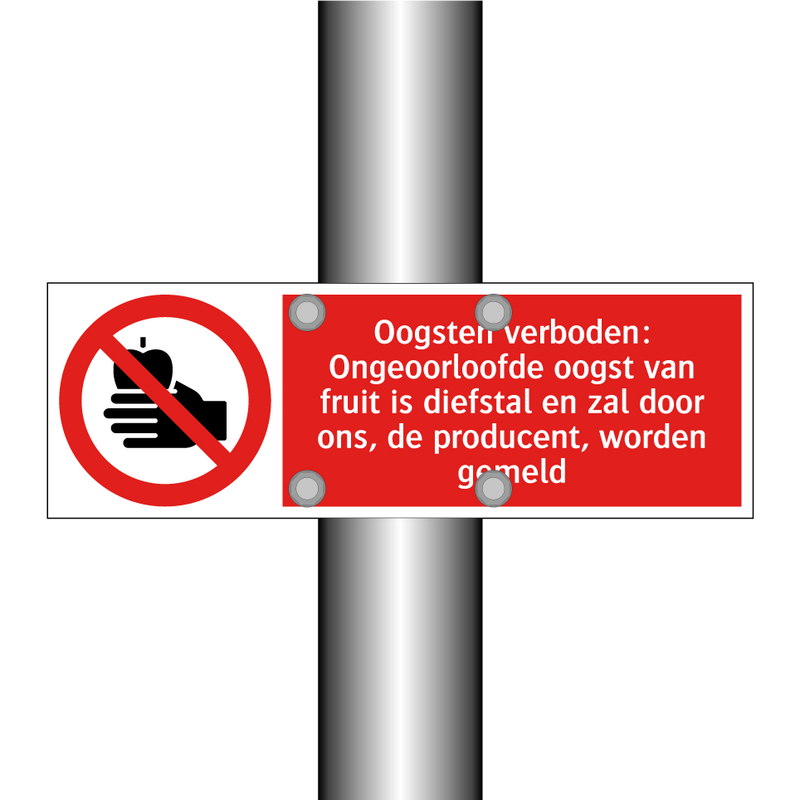 Oogsten verboden: Ongeoorloofde oogst van fruit is diefstal en zal door ons, de producent, worden gemeld
